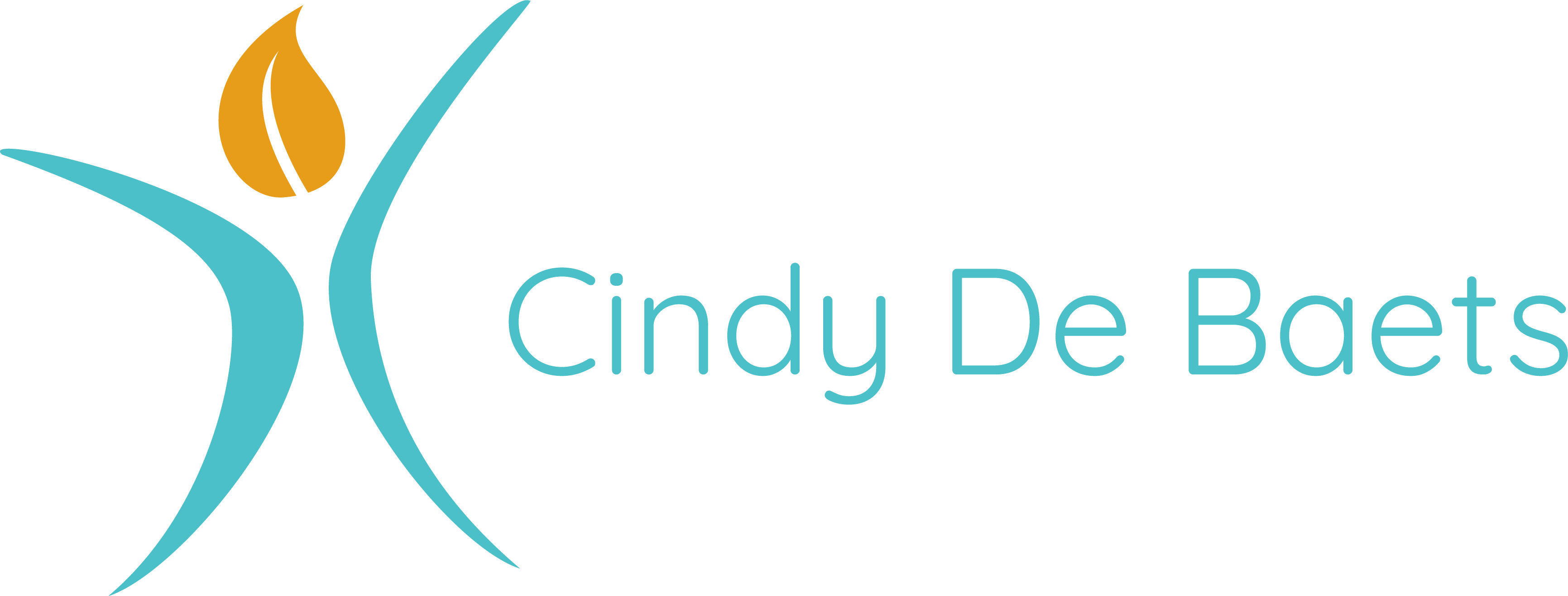 Cindy De Baets logo color